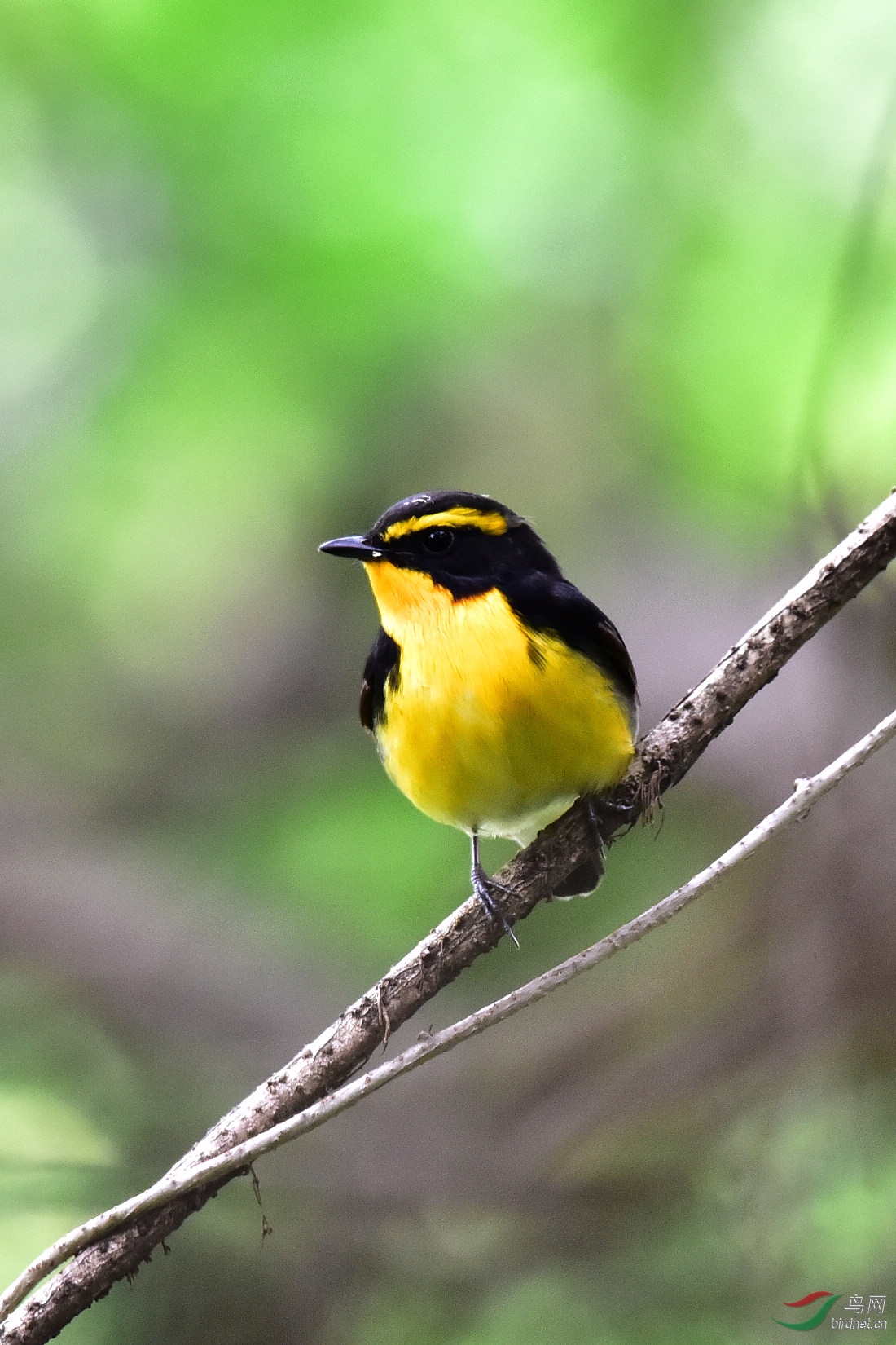 DSC_1104.JPG