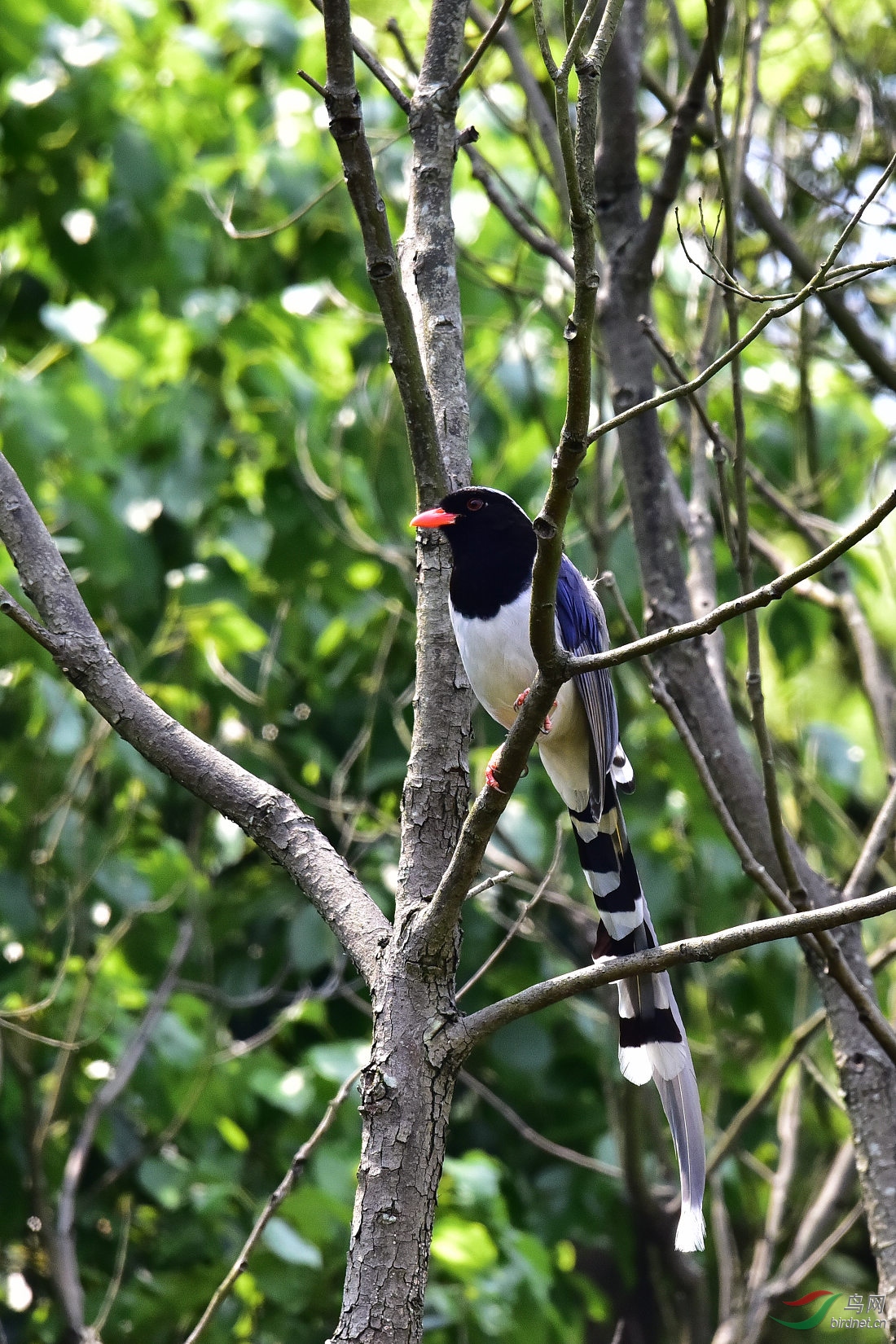DSC_0335.JPG