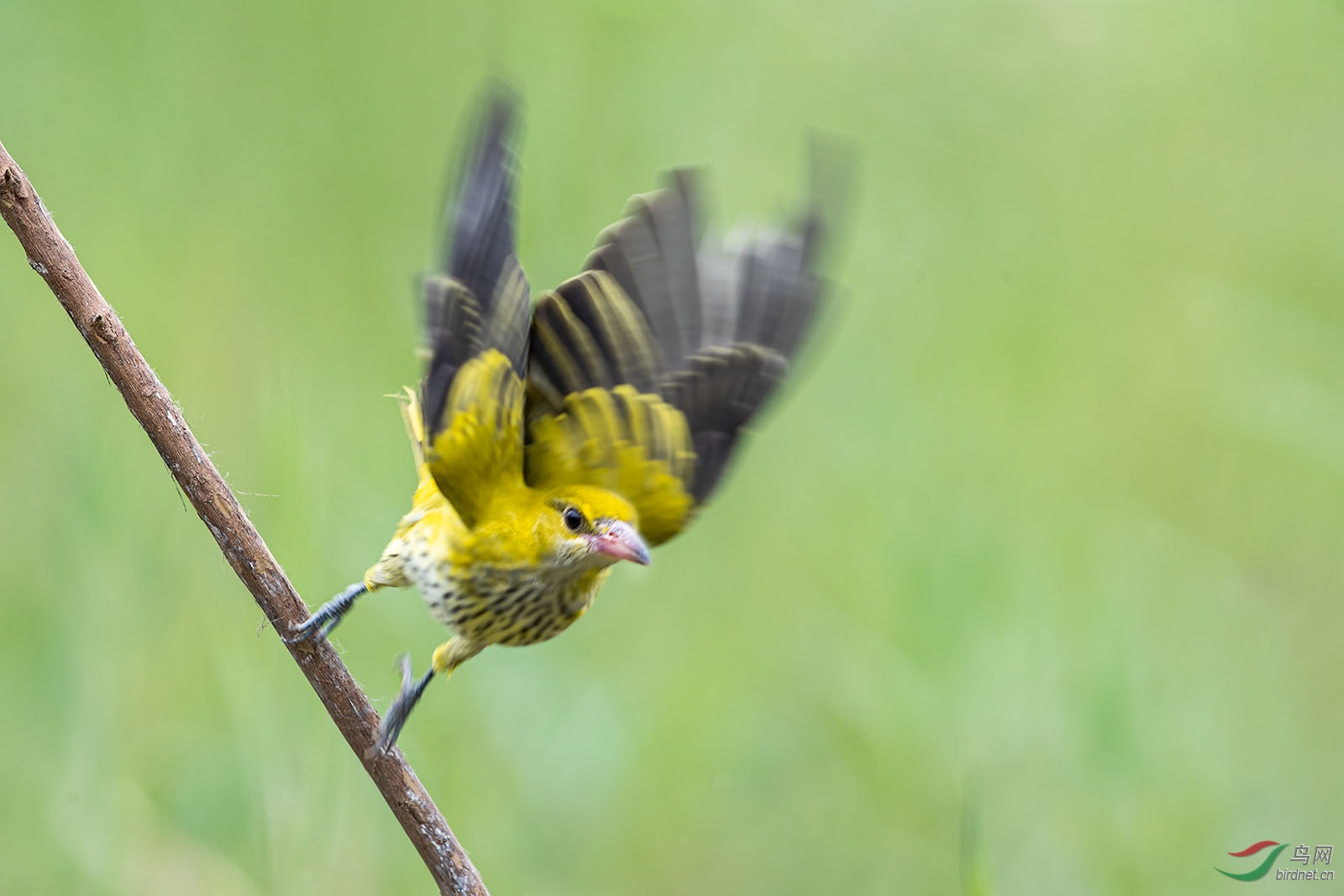 xzpx190915_0656 ����.jpg