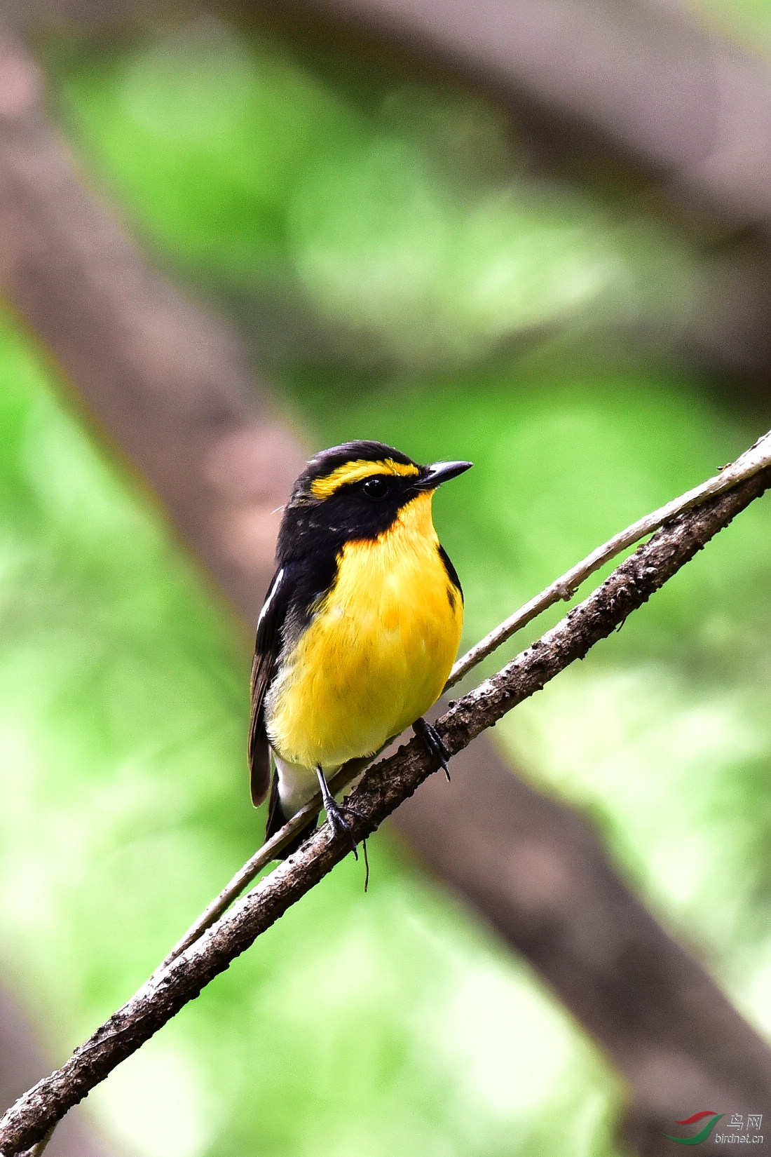 DSC_1108.JPG