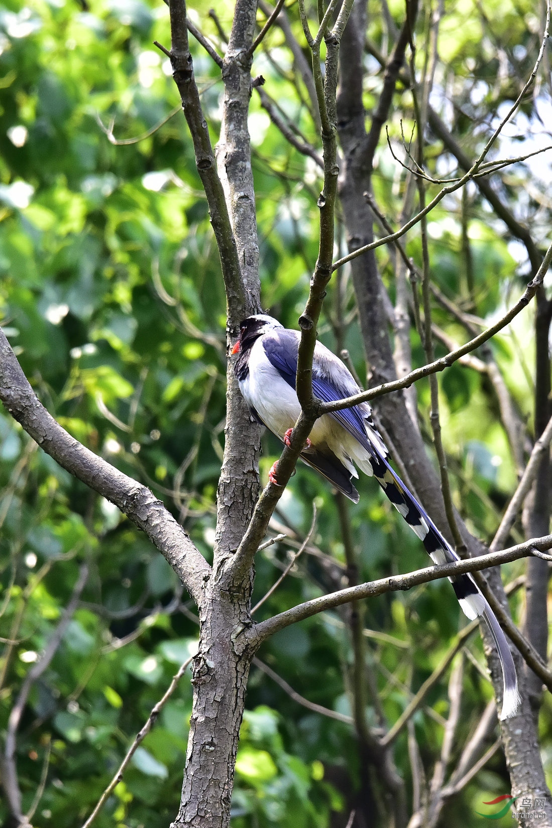 DSC_0338.JPG