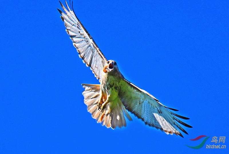 DSC_0633--_����.jpg