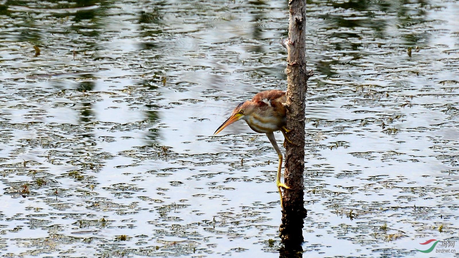 DSC_5760.JPG