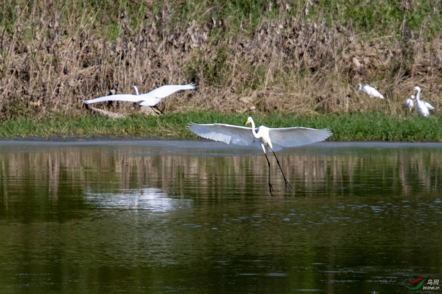 D50_1056.jpg