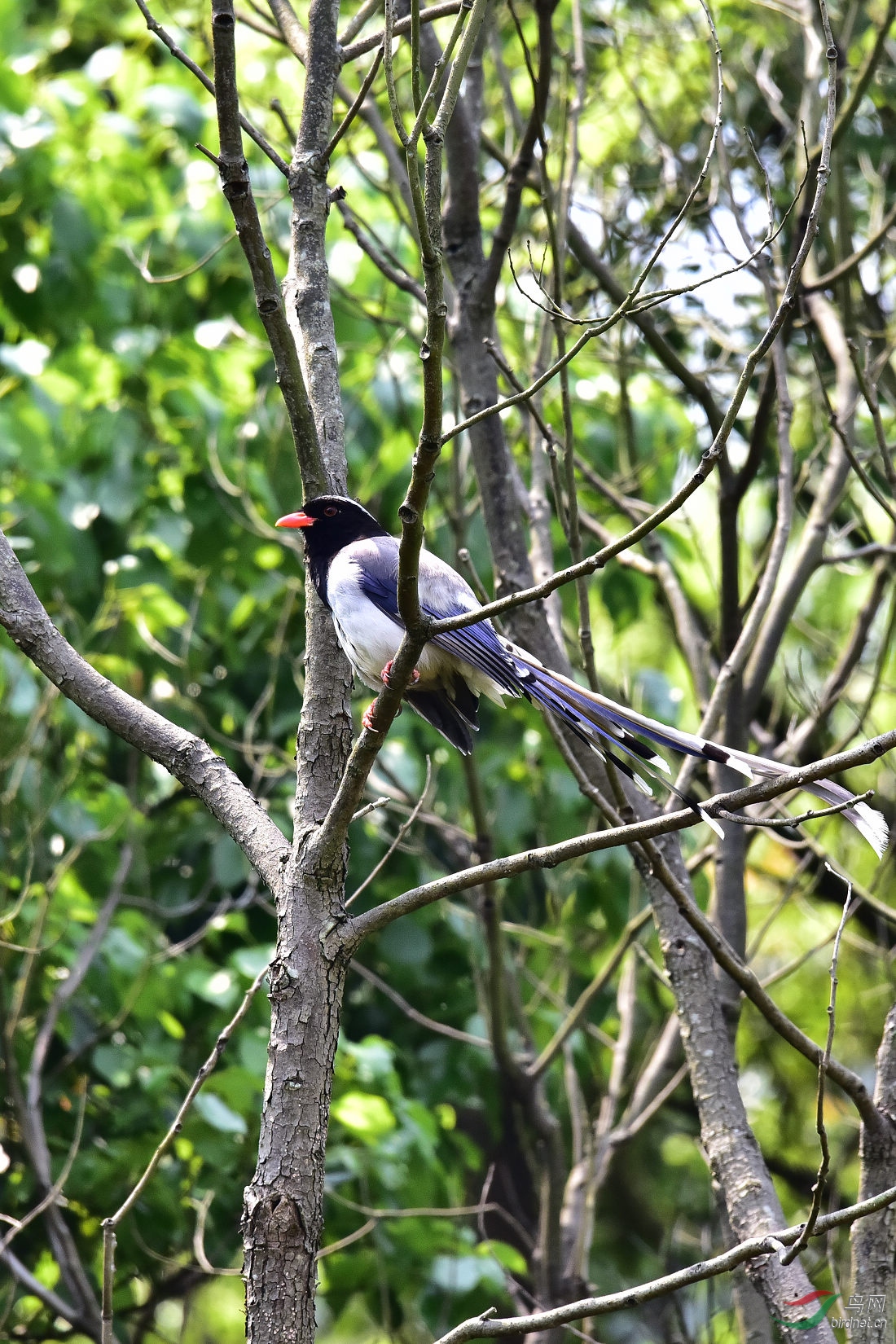 DSC_0342.JPG