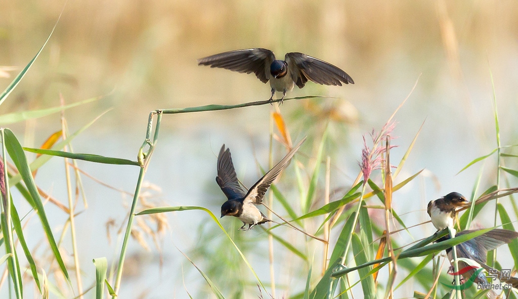 2019.9.16��Ӫʪ�� 0151.jpg