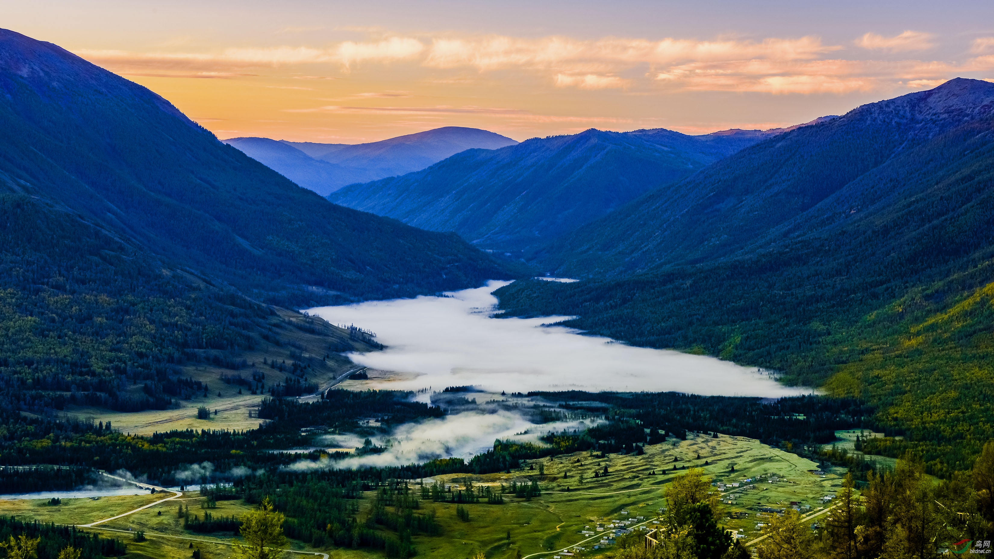 _DSC9239.jpg
