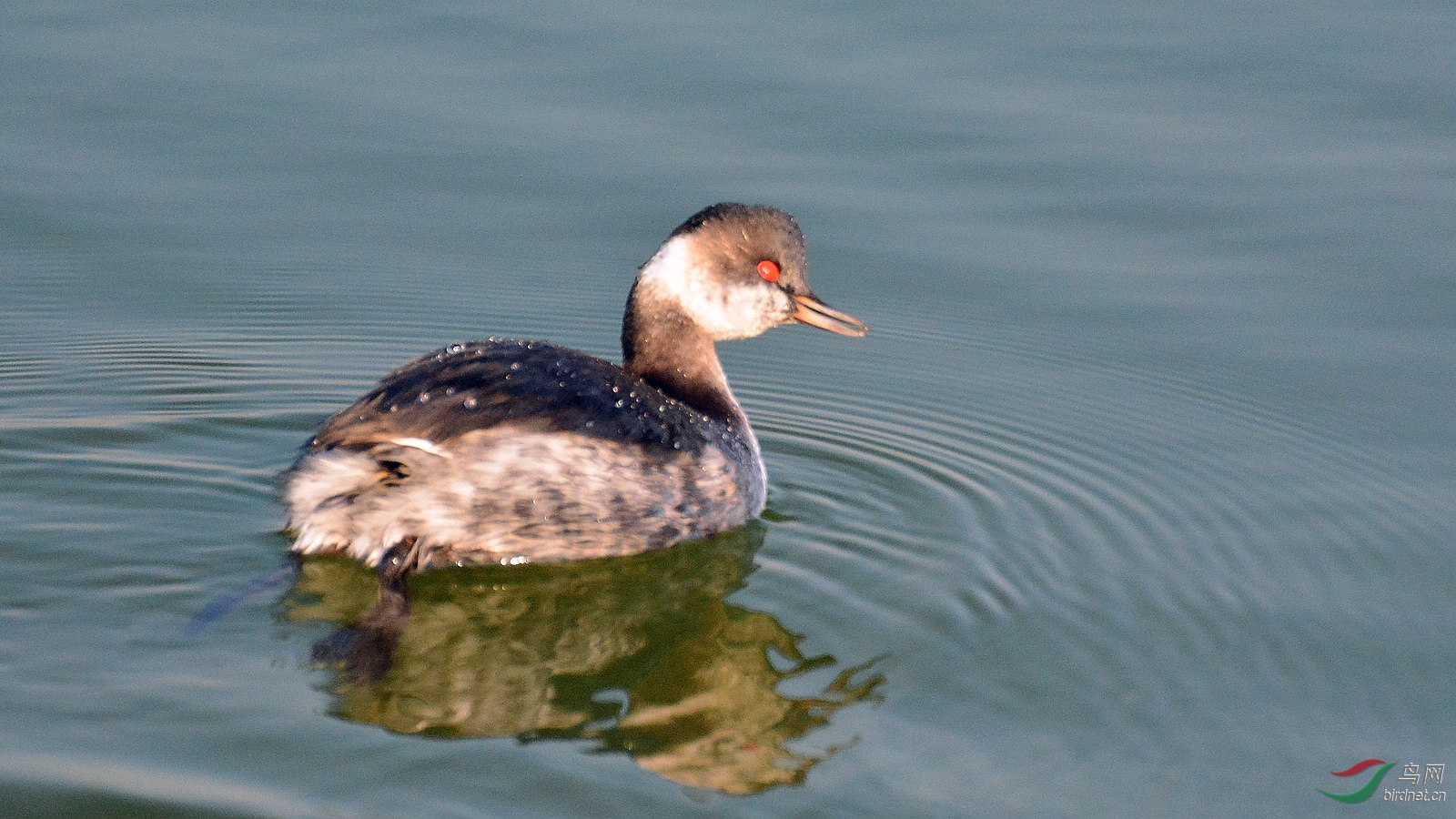 DSC_6449.JPG
