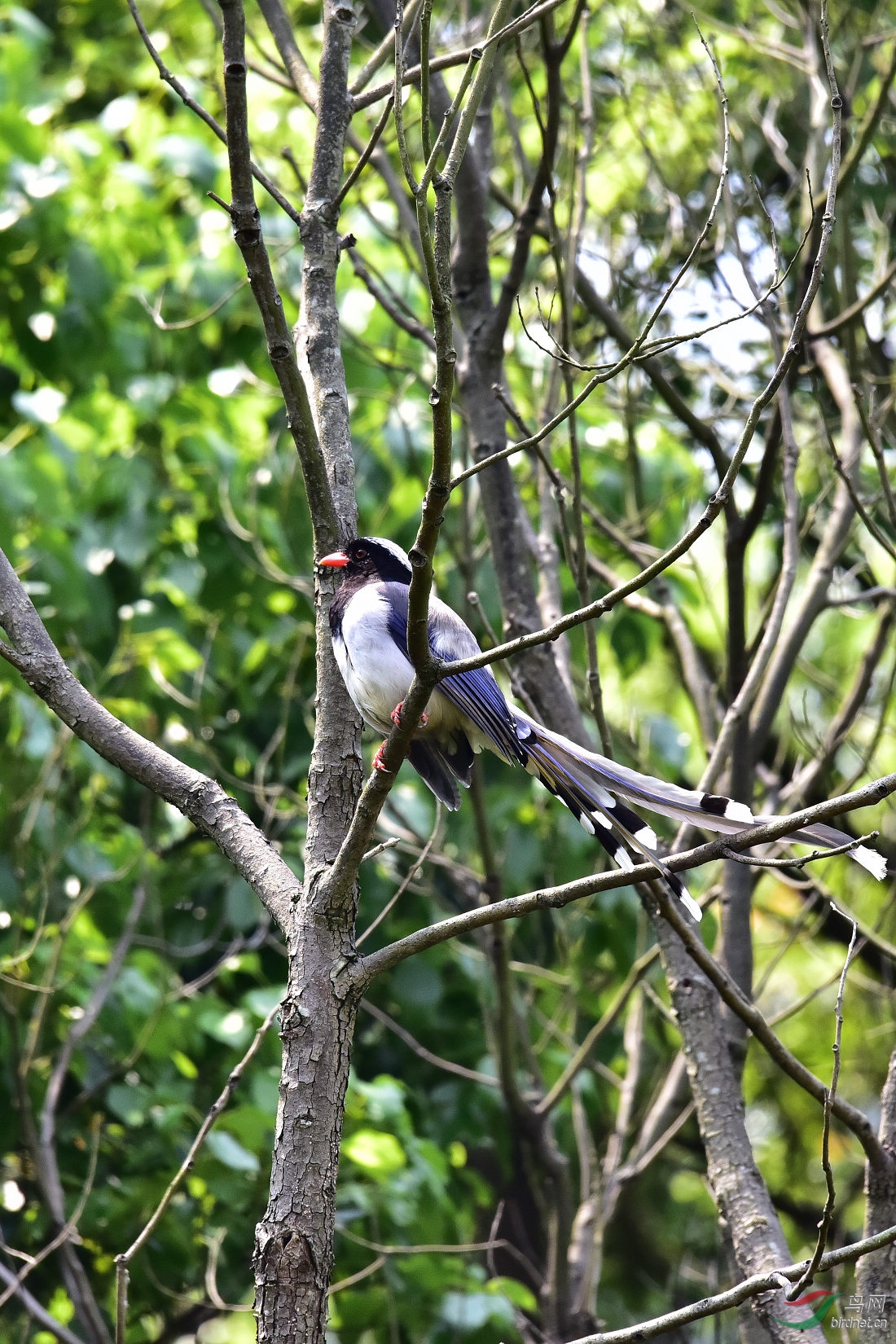 DSC_0343.JPG