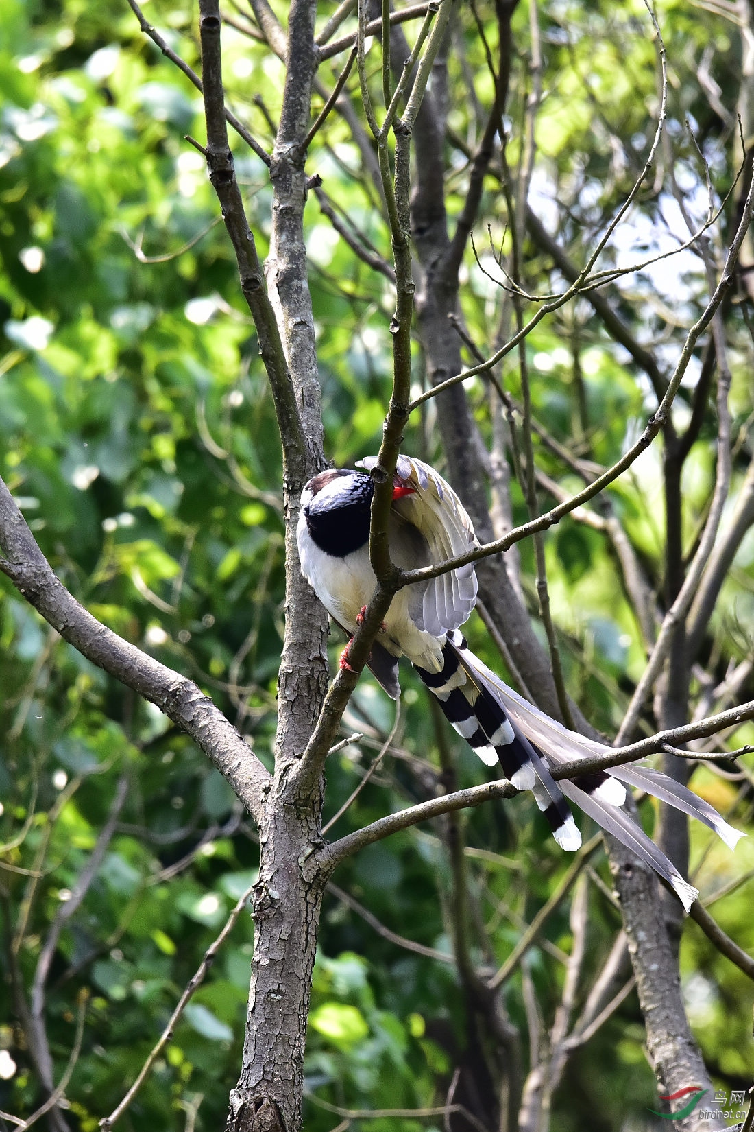 DSC_0344.JPG