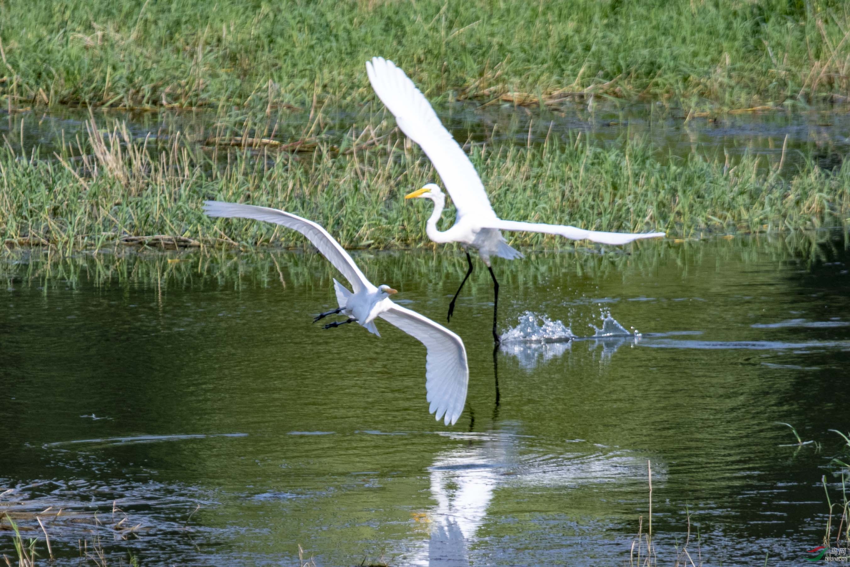 D50_1092.jpg