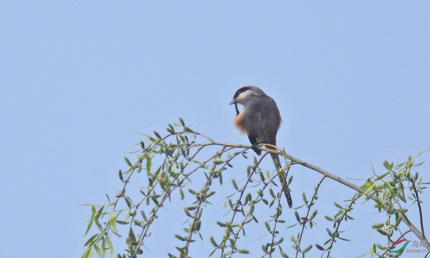 DSCN7009.JPG