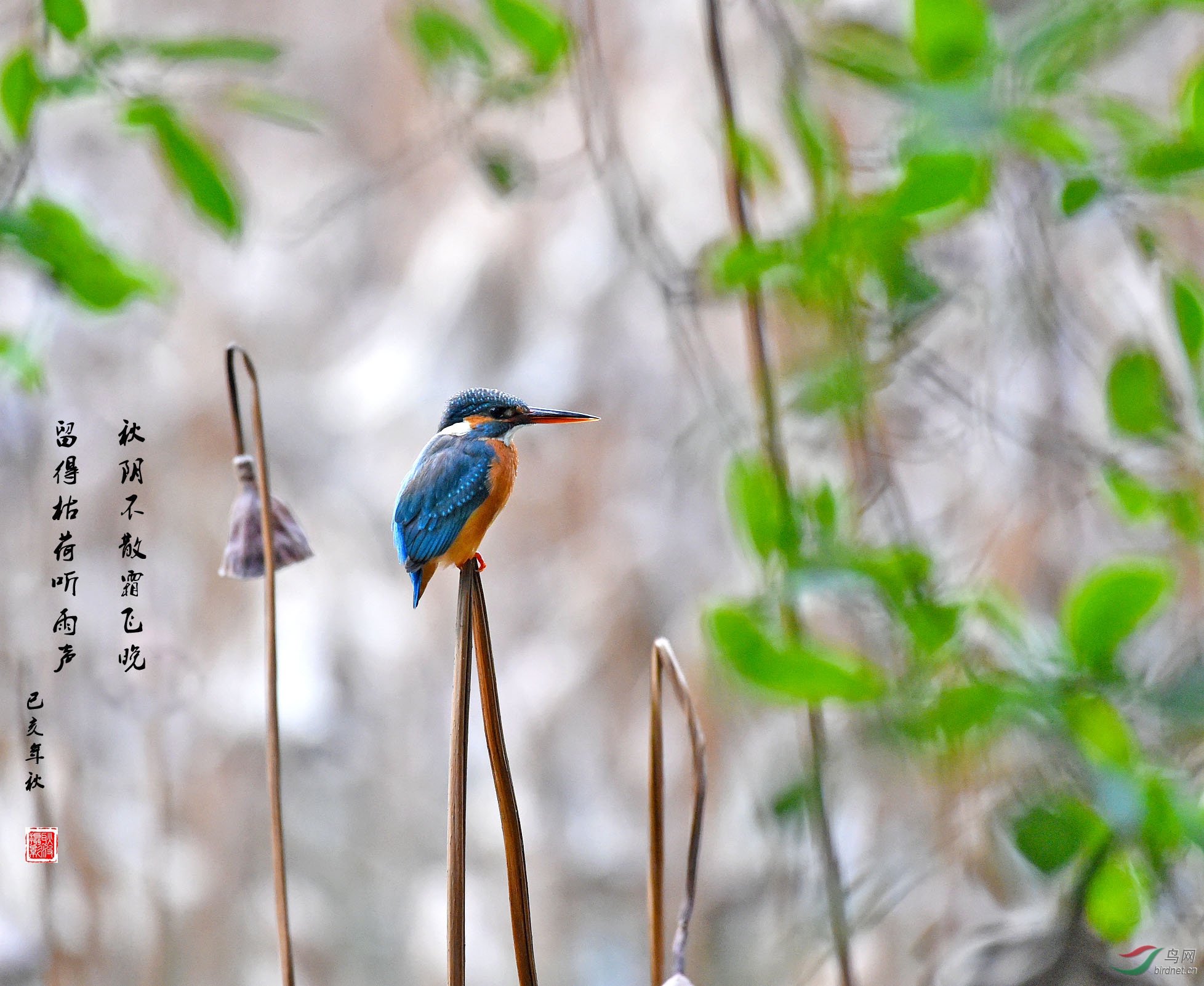 DSC_0142.JPG