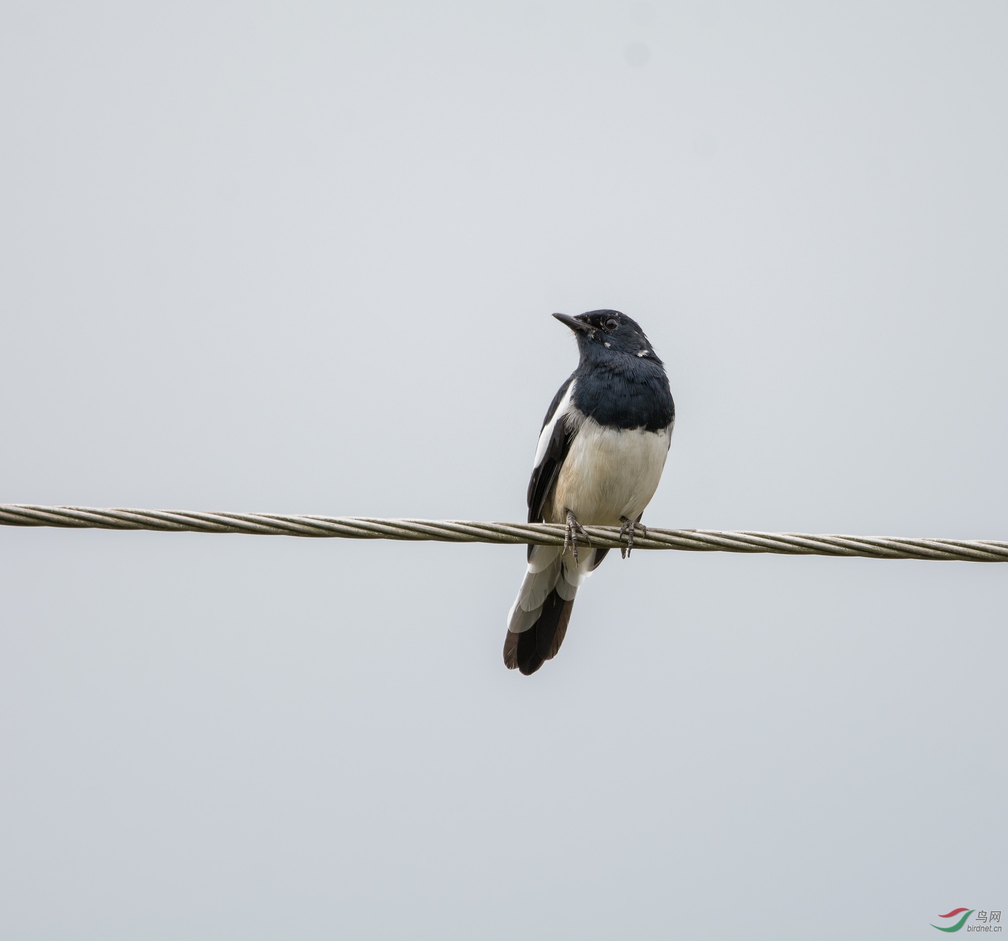 DSC_9010.jpg