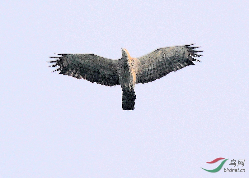 P3210716 - ����.JPG