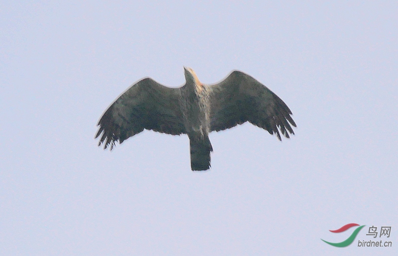 P3210718 - ����.JPG