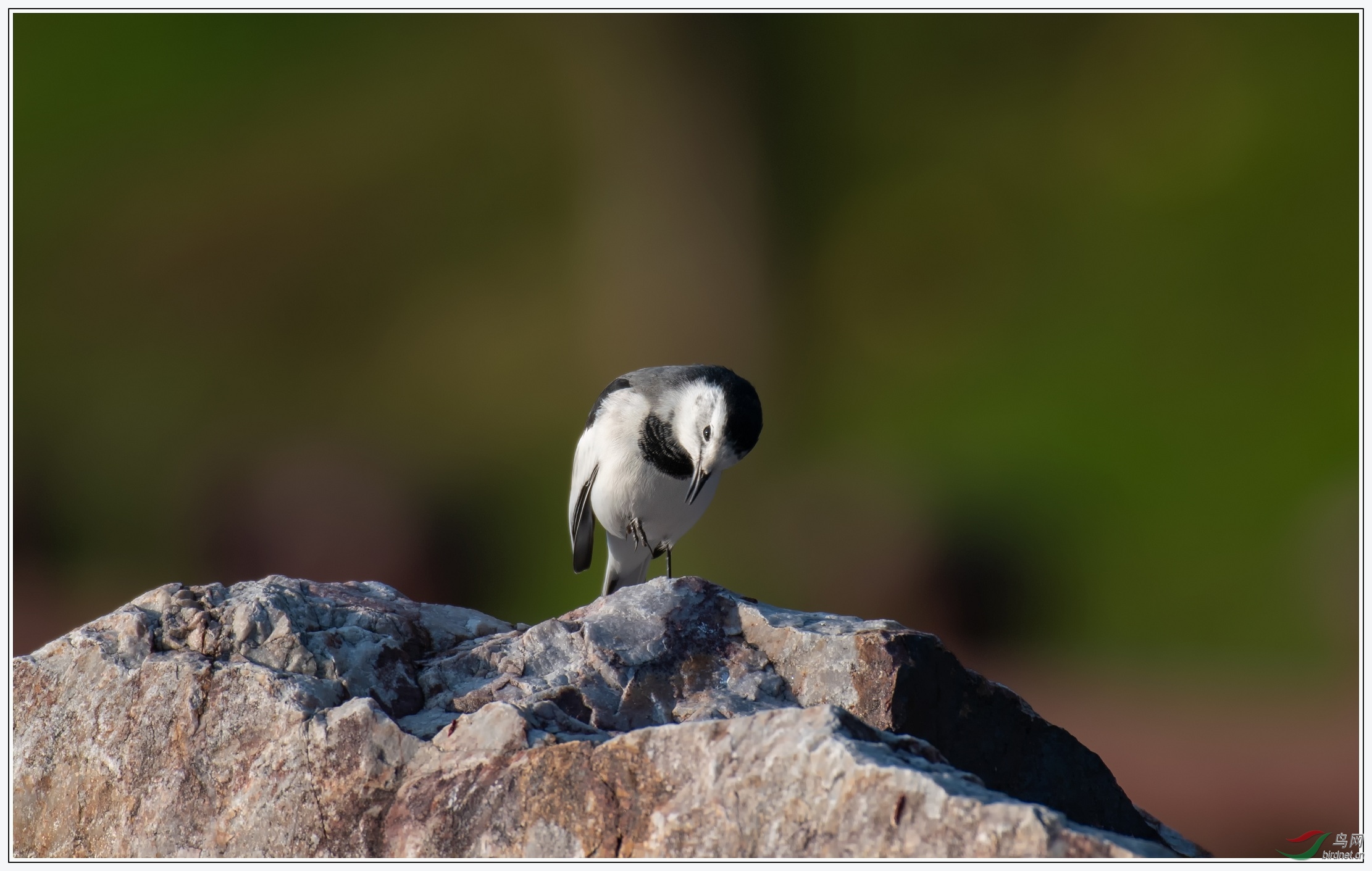 iso100��Ч��̫���ˣ�Ϊͻ��ϸ�ڴ������