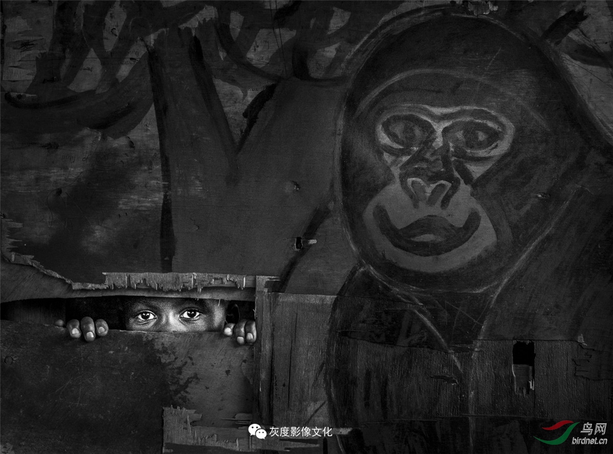 �Ҷ�Ӱ����ֲ���Ա��Ʒ