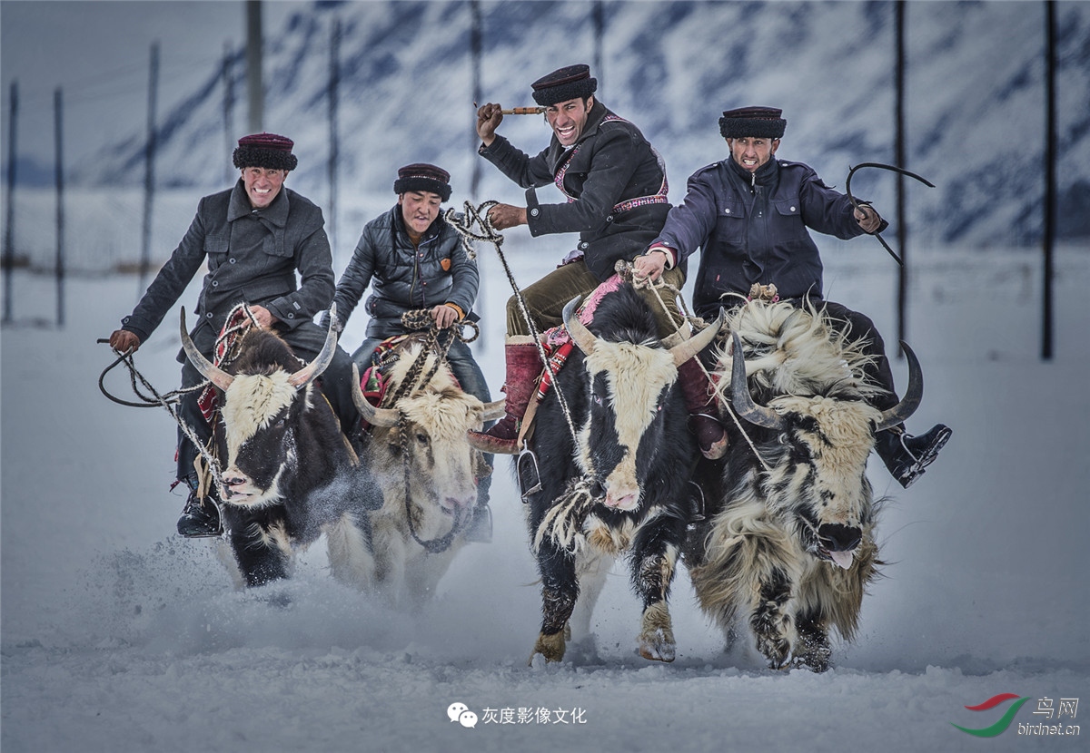 �Ҷ�Ӱ����ֲ���Ա��Ʒ