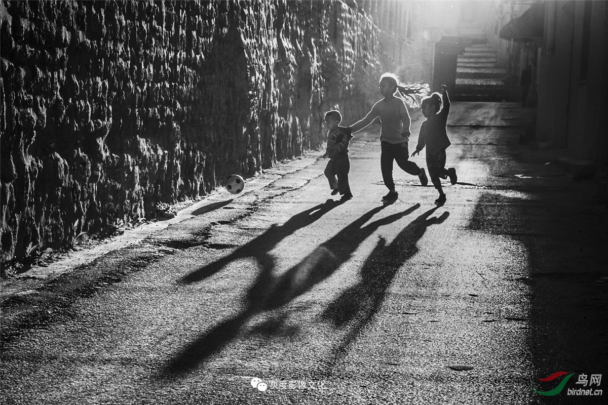 �Ҷ�Ӱ����ֲ���Ա��Ʒ