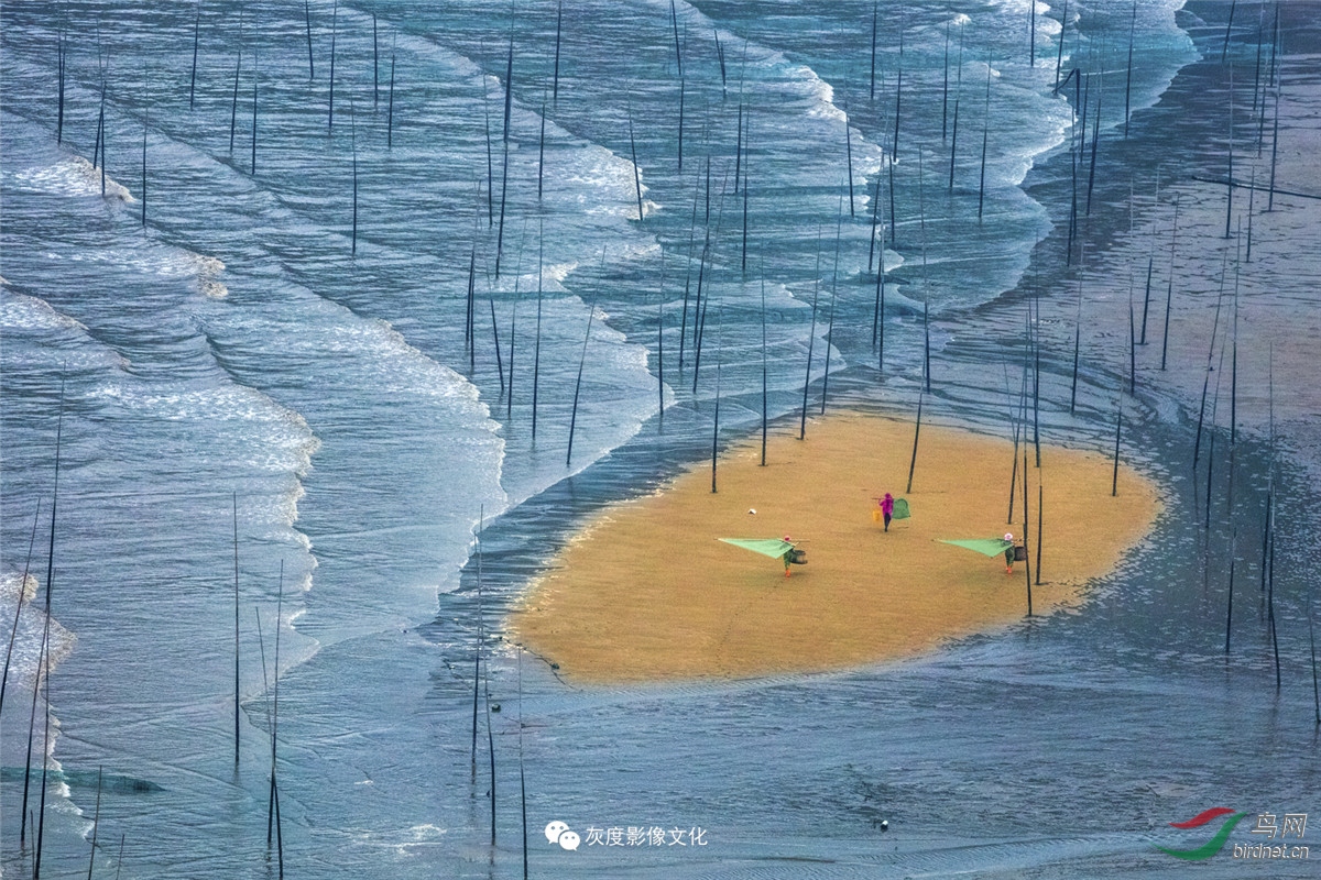 �Ҷ�Ӱ����ֲ���Ա��Ʒ