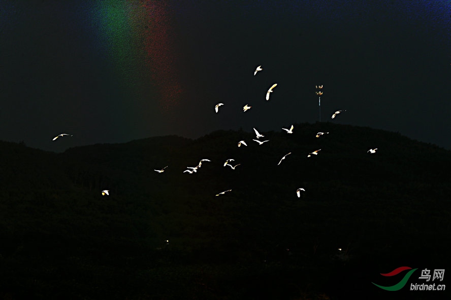 BW6I1810_����_����.jpg