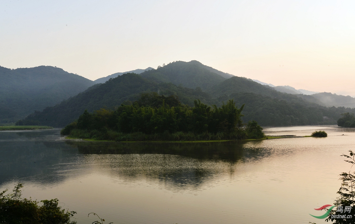 D8I_8863.jpg