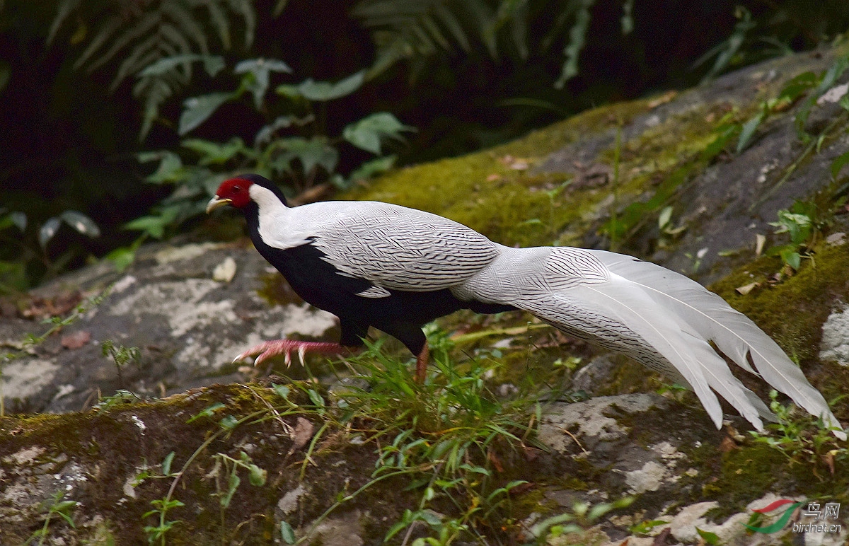 D8I_8355.jpg