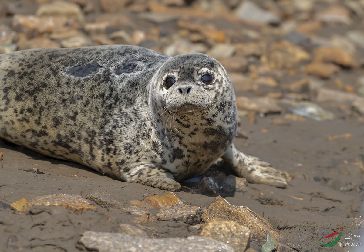 _DSC6537-.jpg