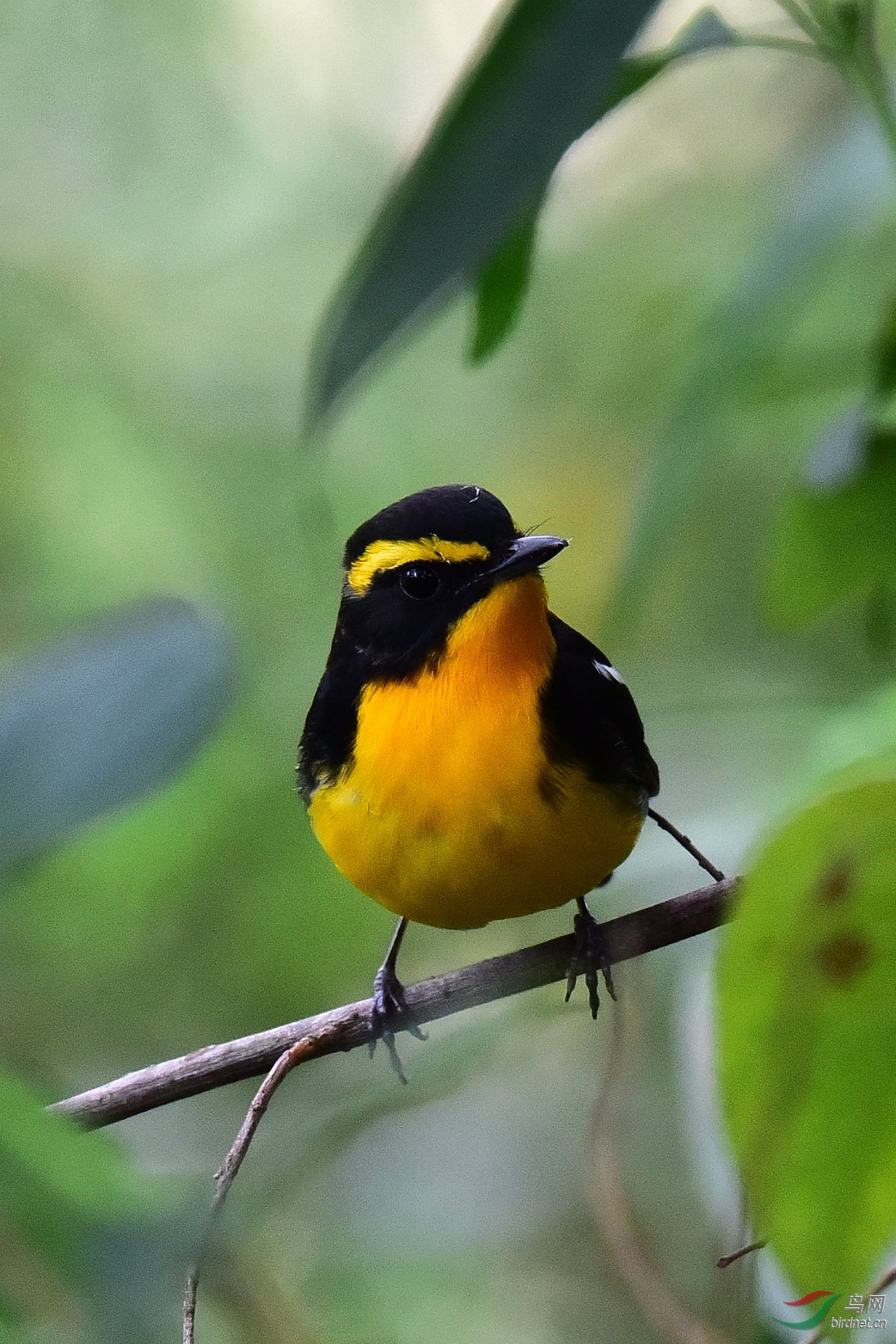 DSC_1124.JPG