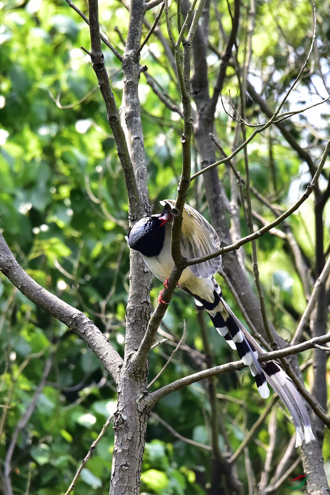 DSC_0354.JPG