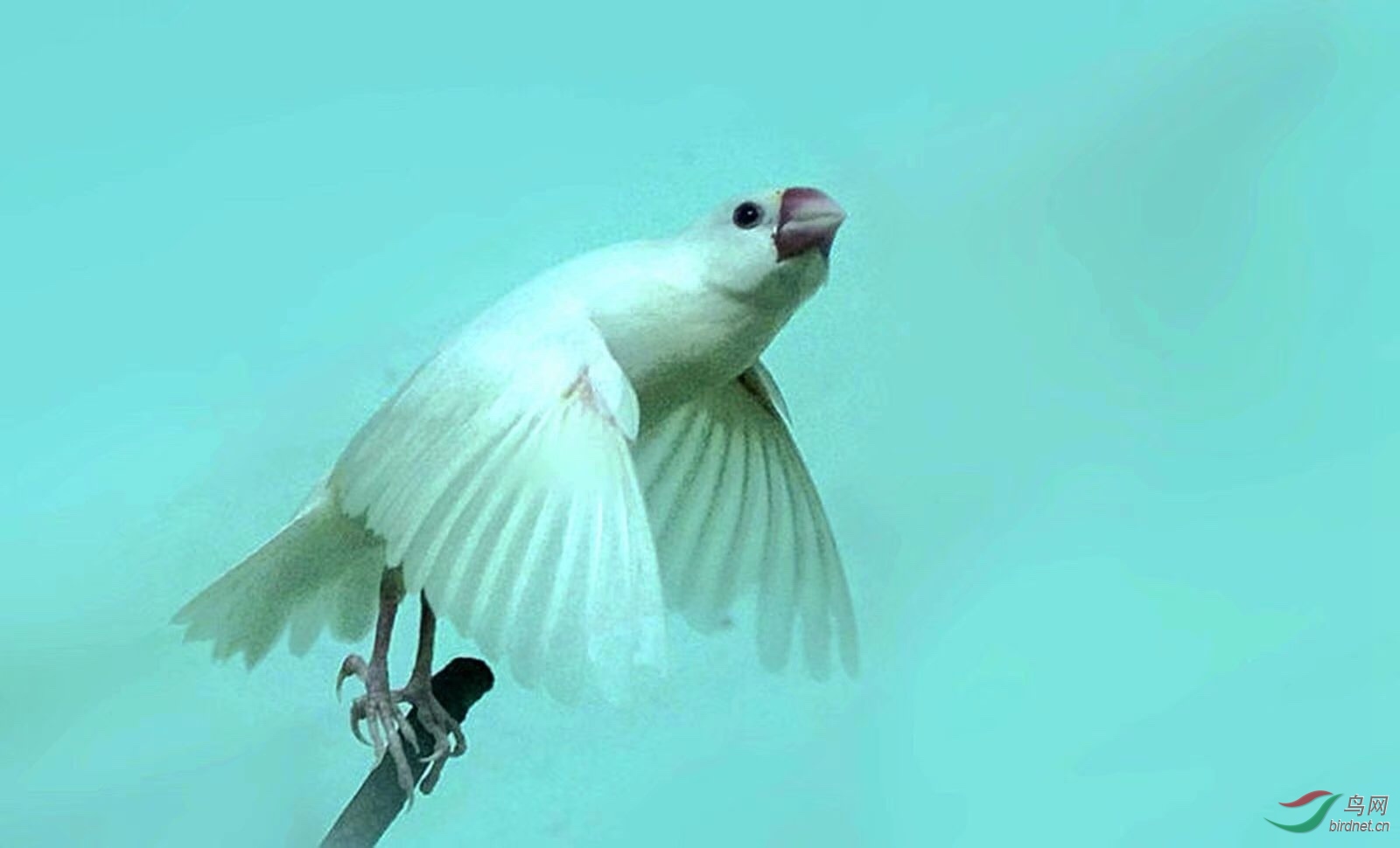 AA77213C-D8E1-4B05-81E4-4C74C5A233CA.jpeg