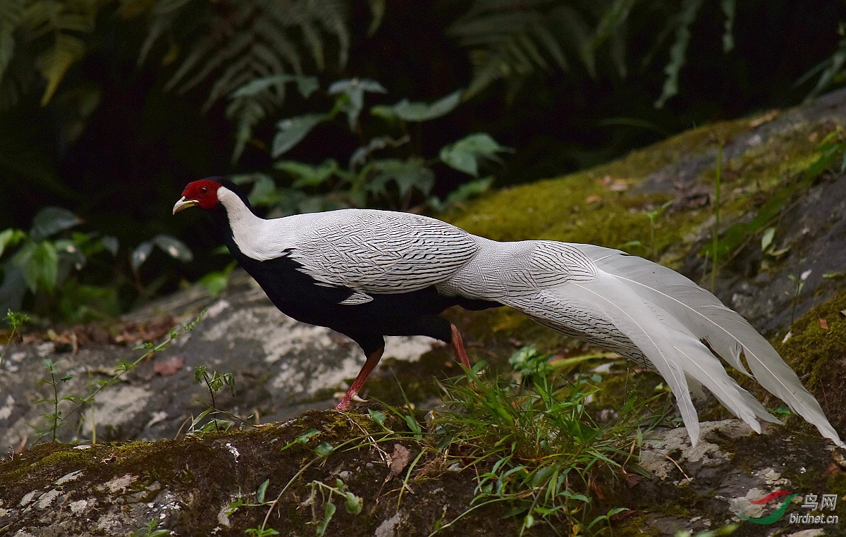 D8I_8356.jpg