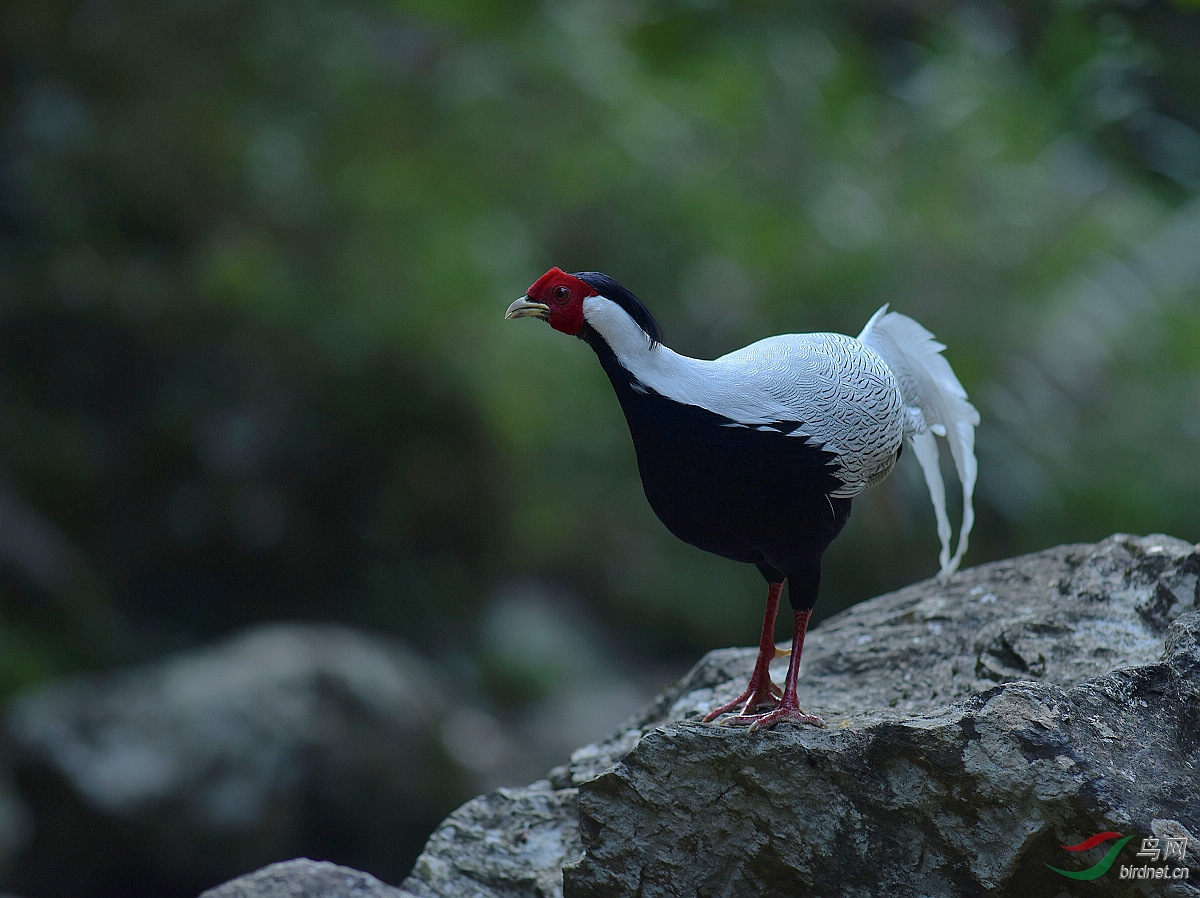 D8I_9306.jpg