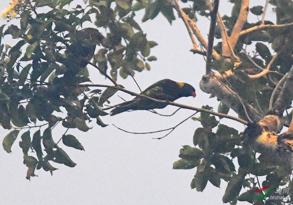 19��8��ӡ�����ͱ��ǿ�001 (1174).JPG