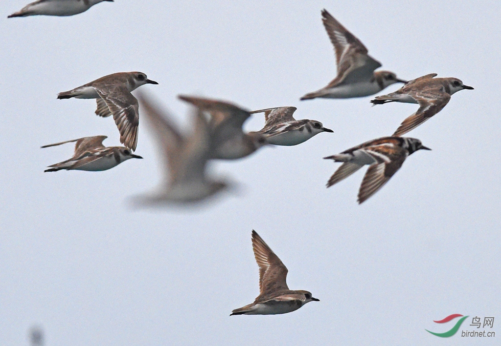 19��8��ӡ�����ͱ��ǿ�001 (516).JPG