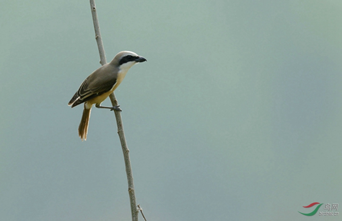 _U5I0281_���� - ����.jpg