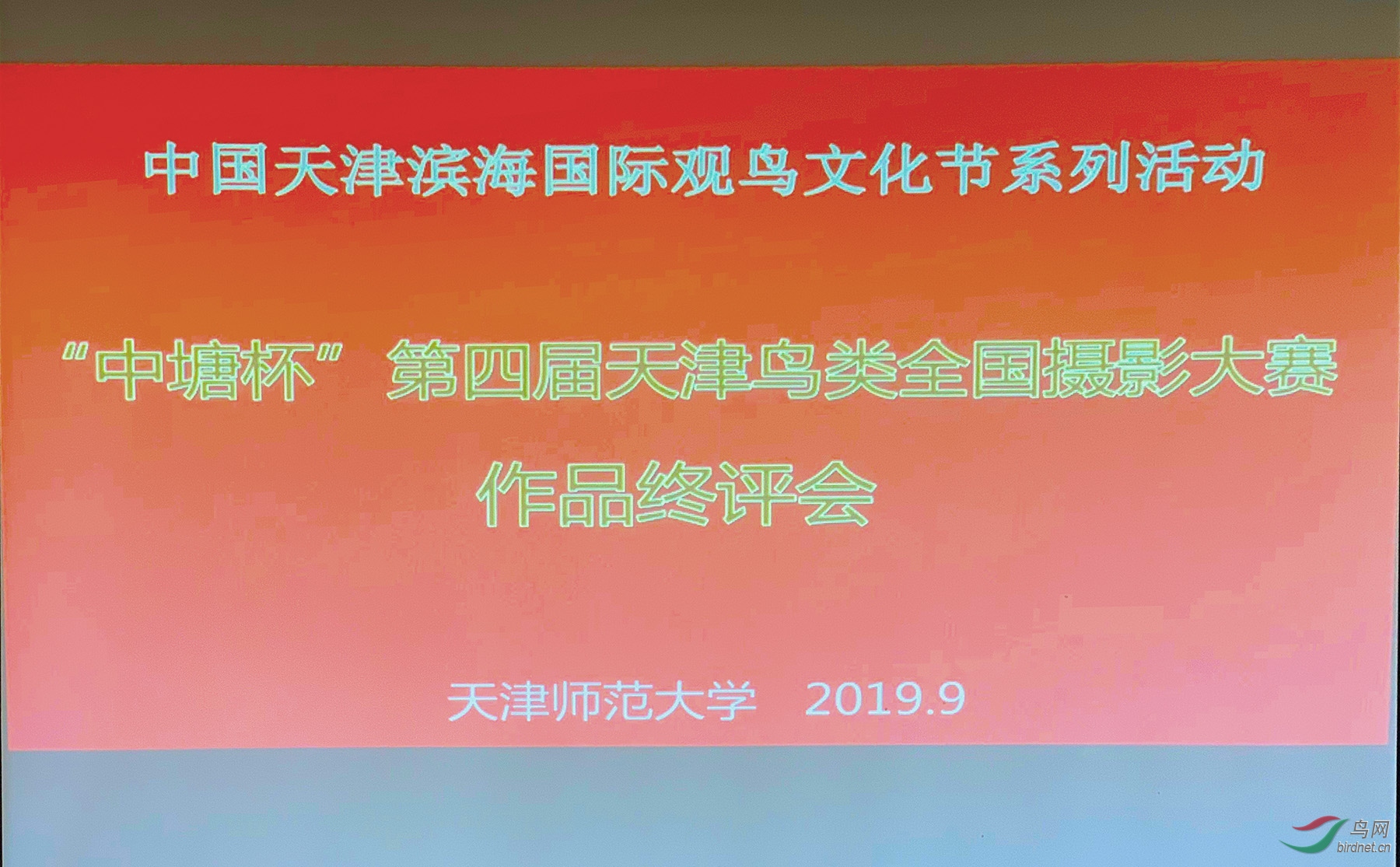 203346xkj2v13wpjs1nknn.jpg