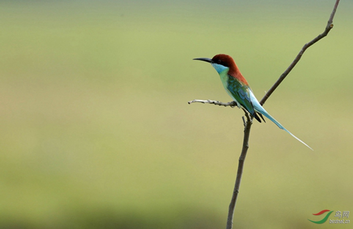 _U5I0114_���� - ����.jpg