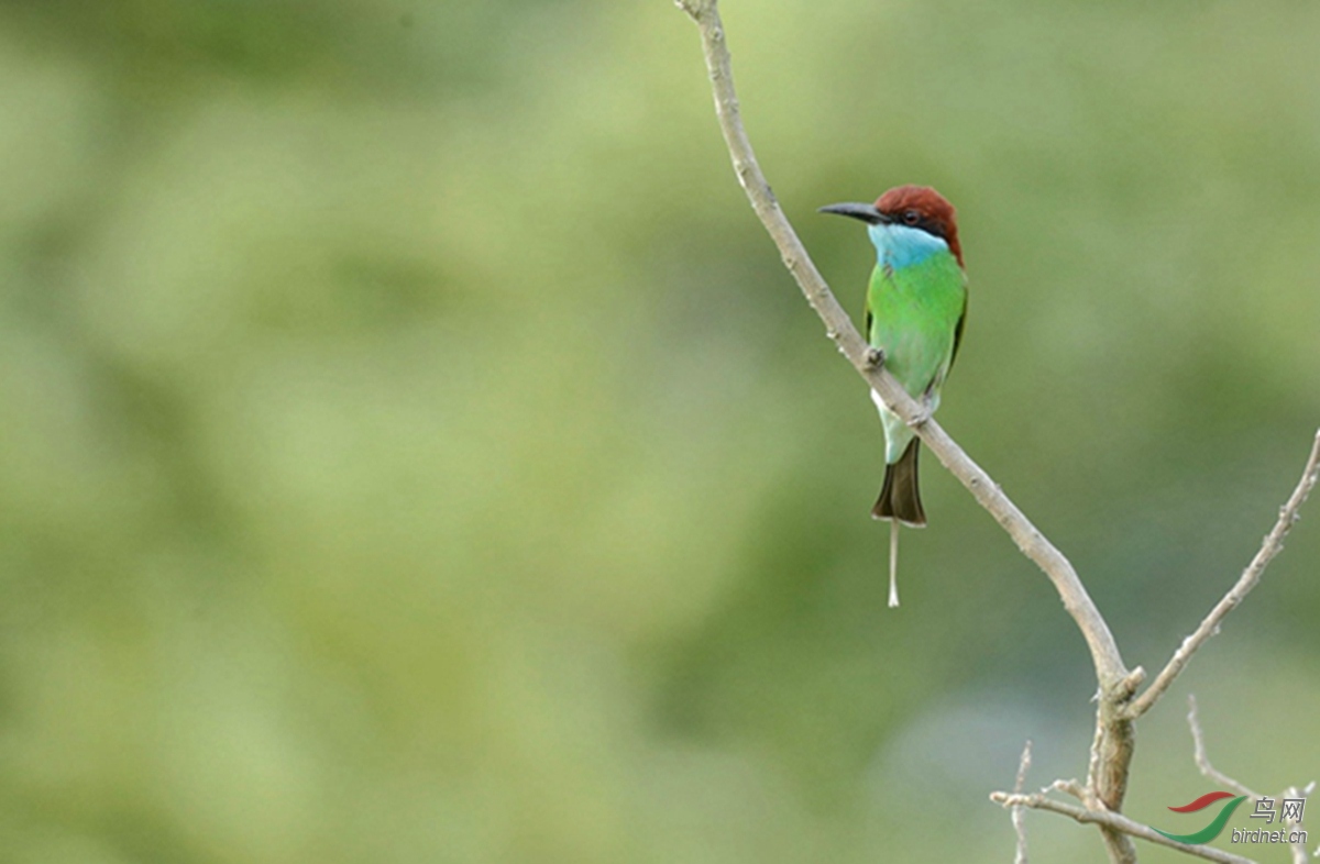 _U5I0342_���� - ����.jpg
