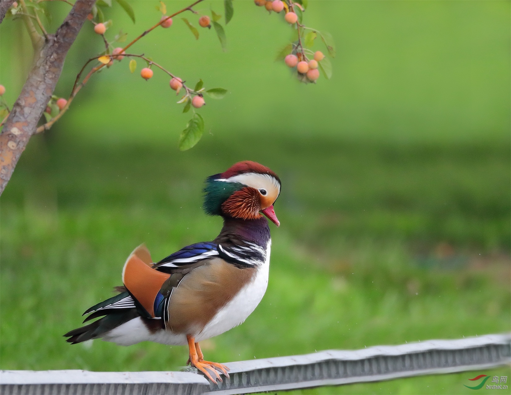 1 - ����.JPG