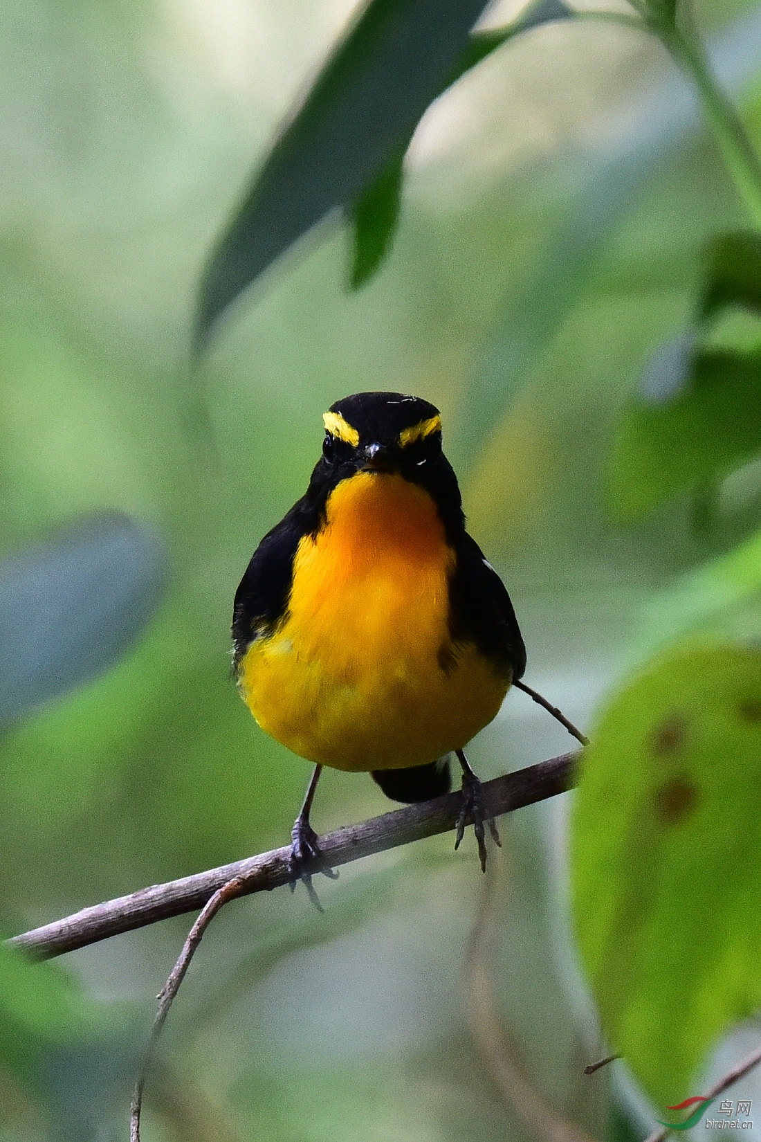 DSC_1127.JPG