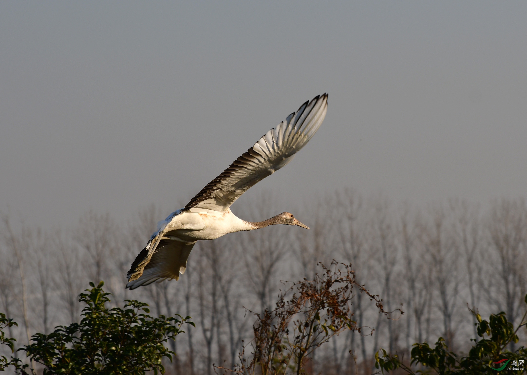 DSC_3517.jpg