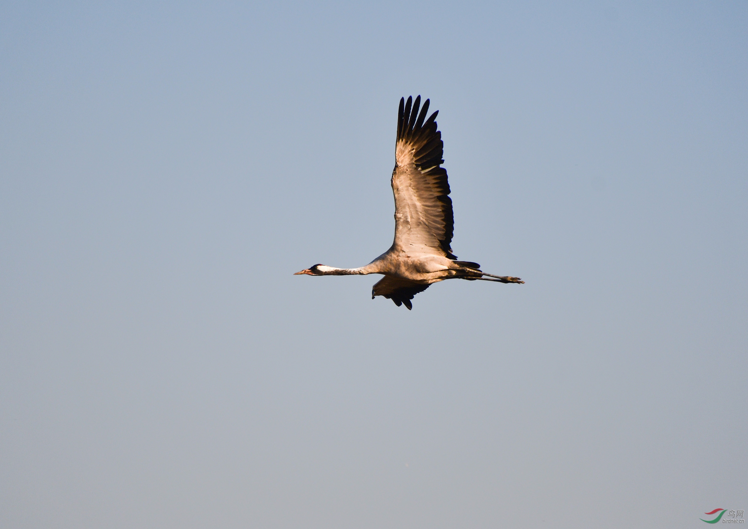 DSC_3370.jpg
