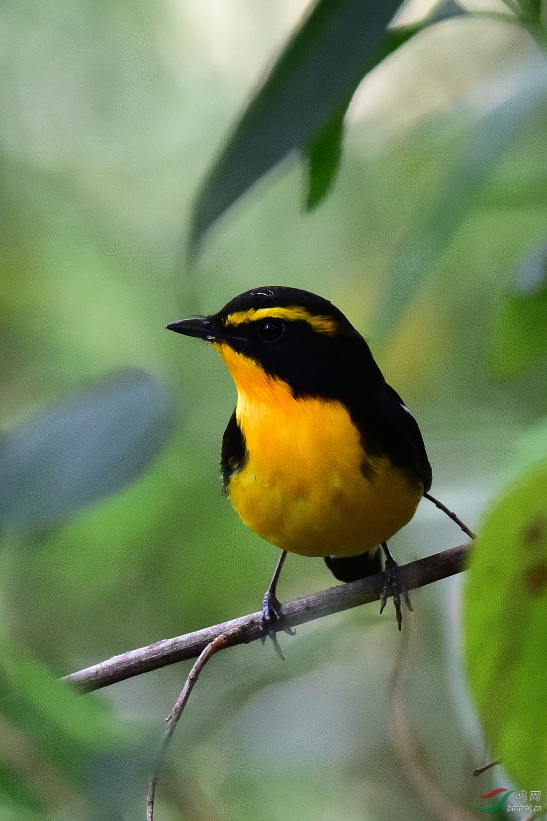 DSC_1128.JPG
