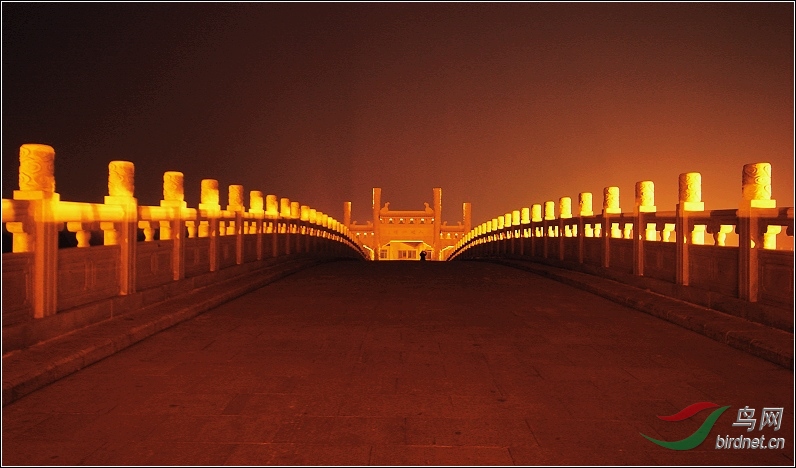 R0018835-17.jpg