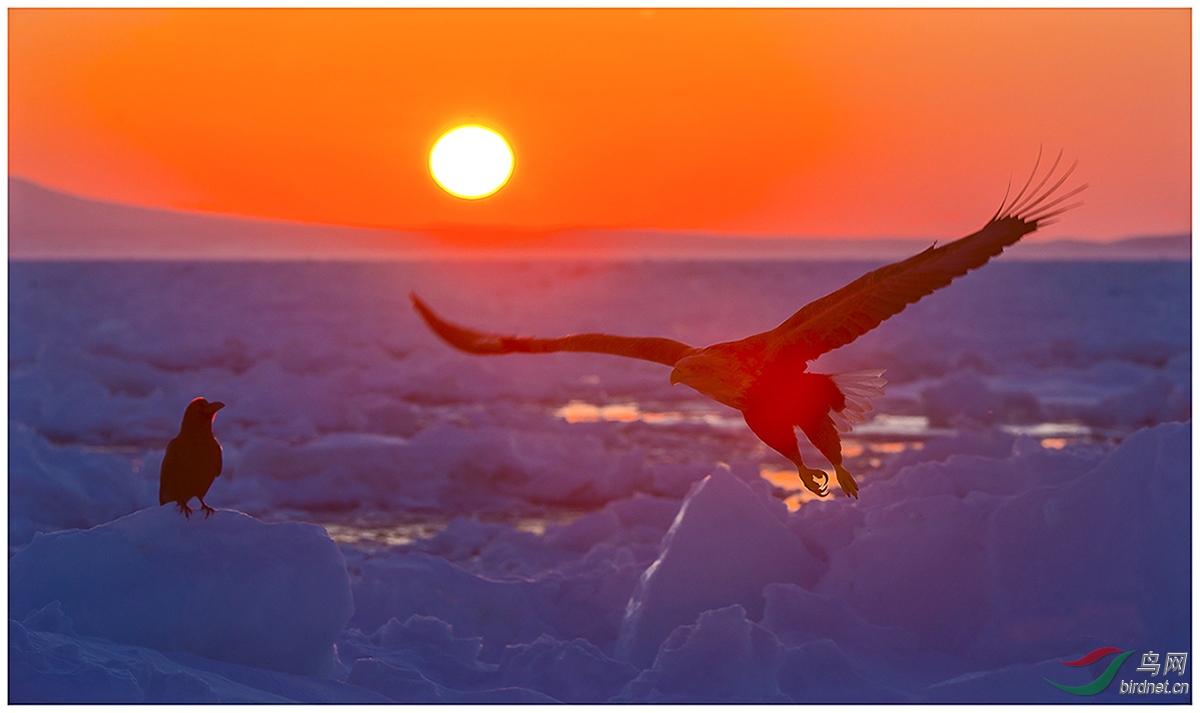 DSC_6302-0.jpg
