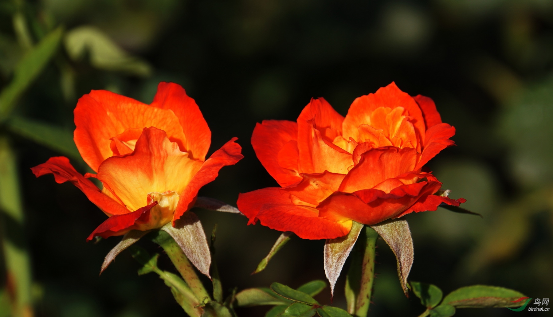 DSC04842.JPG