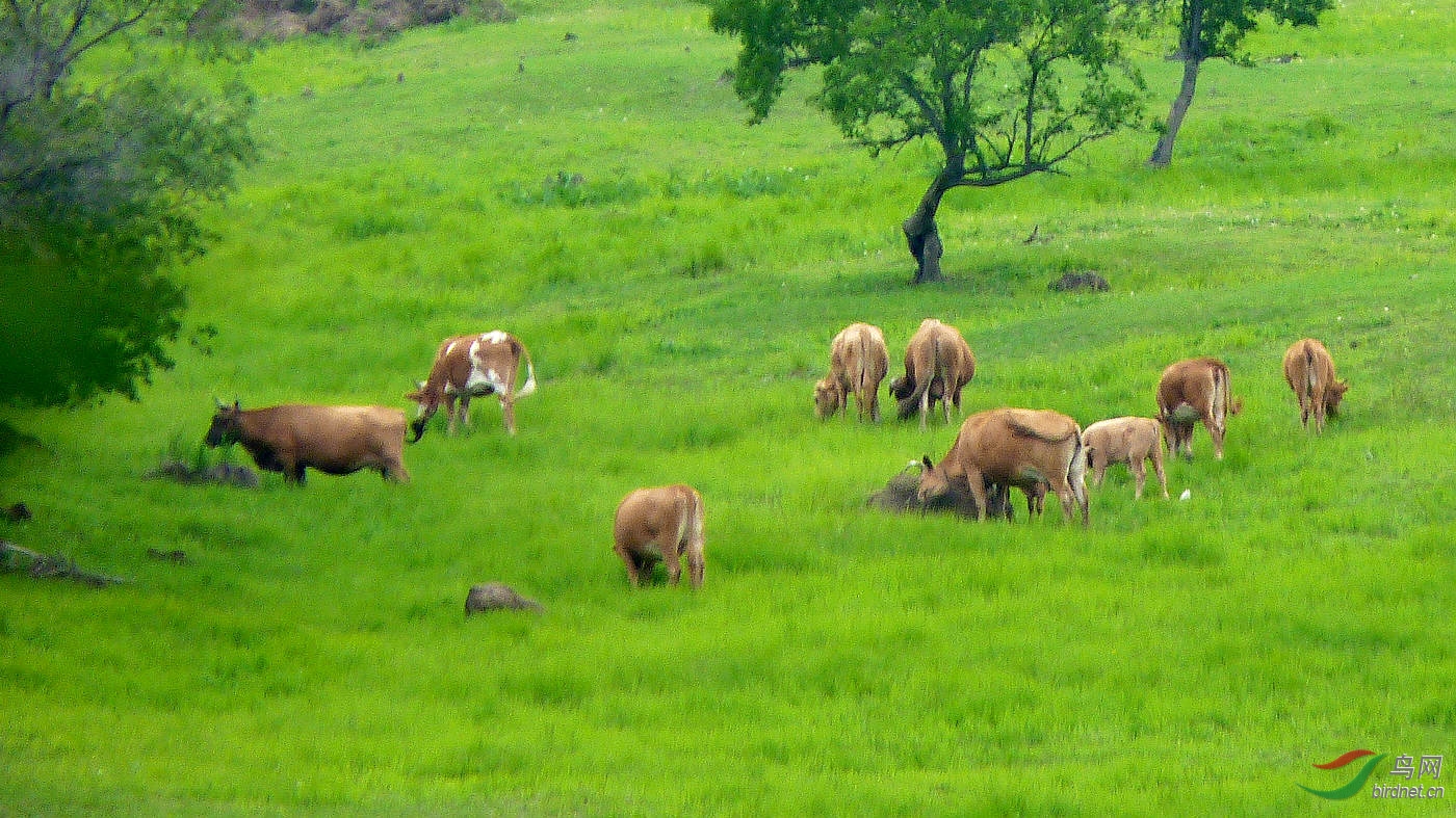 P1060234.JPG