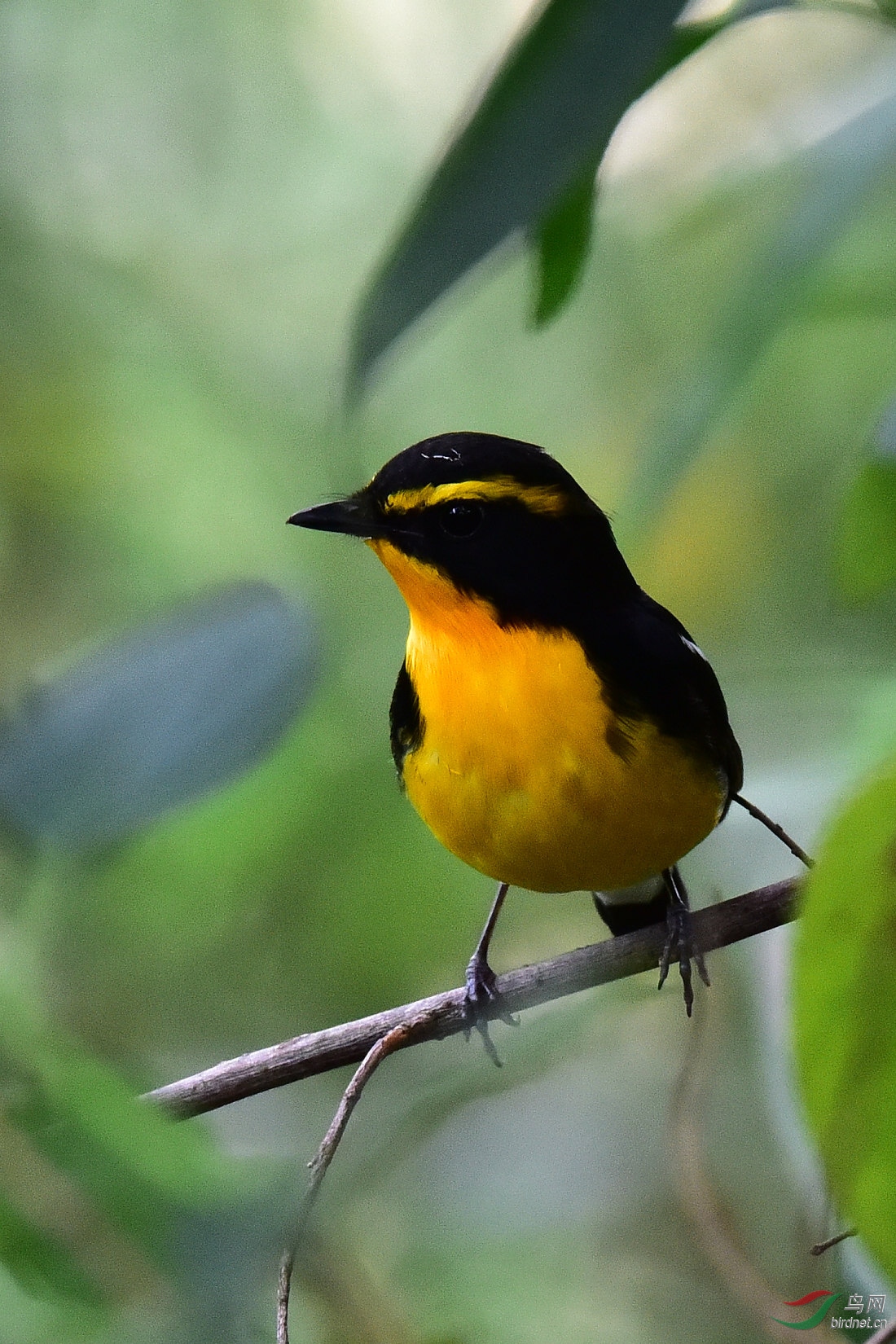 DSC_1129.JPG